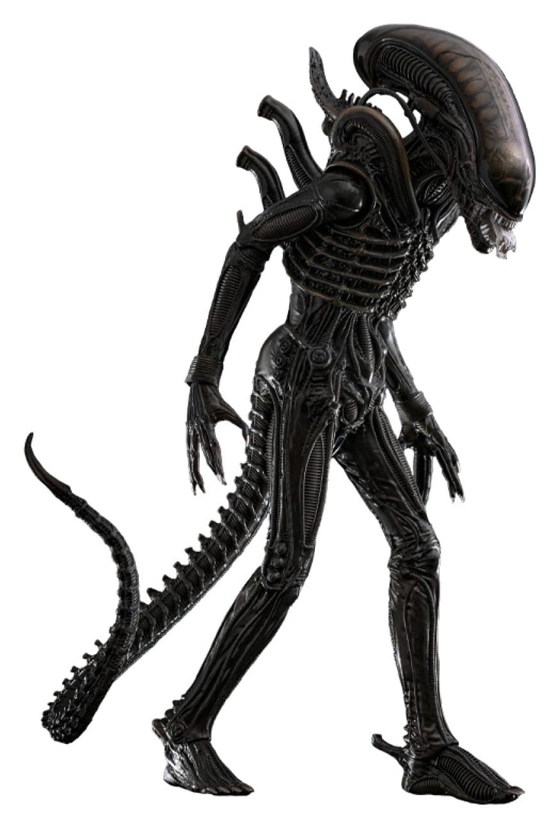 Hot Toys Big Chap - Alien (1979) - MMS826 - 1/6 Scale Collectible