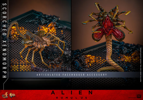 Hot Toys Alien: Romulus Scorched Xenomorph 1/6 Action Figure