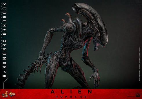 Hot Toys Alien: Romulus Scorched Xenomorph 1/6 Action Figure