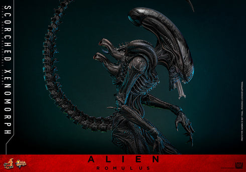 Hot Toys Alien: Romulus Scorched Xenomorph 1/6 Action Figure