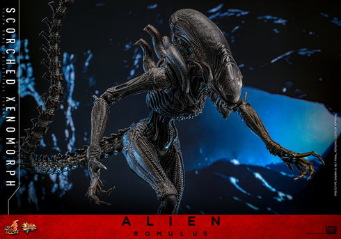 Hot Toys Alien: Romulus Scorched Xenomorph 1/6 Action Figure