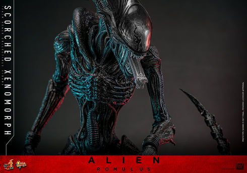 Hot Toys Alien: Romulus Scorched Xenomorph 1/6 Action Figure