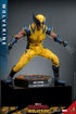 Hot Toys Wolverine - Deadpool & Wolverine - MMS753 - 1/6 Scale Collectible Figure