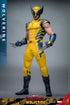 Hot Toys Wolverine - Deadpool & Wolverine - MMS753 - 1/6 Scale Collectible Figure