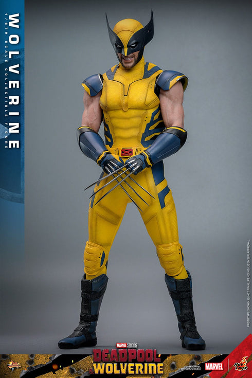 Hot Toys Wolverine - Deadpool & Wolverine - MMS753 - 1/6 Scale Collectible Figure