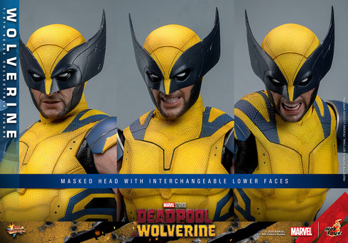 Hot Toys Wolverine - Deadpool & Wolverine - MMS753 - 1/6 Scale Collectible Figure