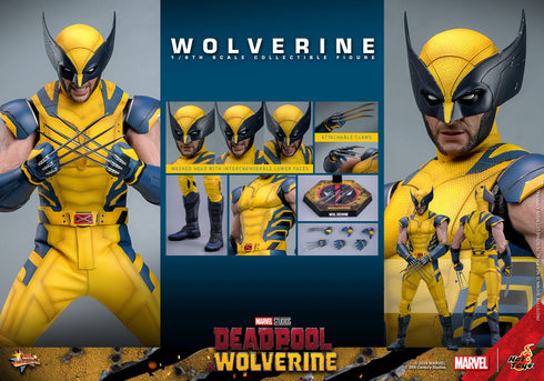 Hot Toys Wolverine - Deadpool & Wolverine - MMS753 - 1/6 Scale Collectible Figure