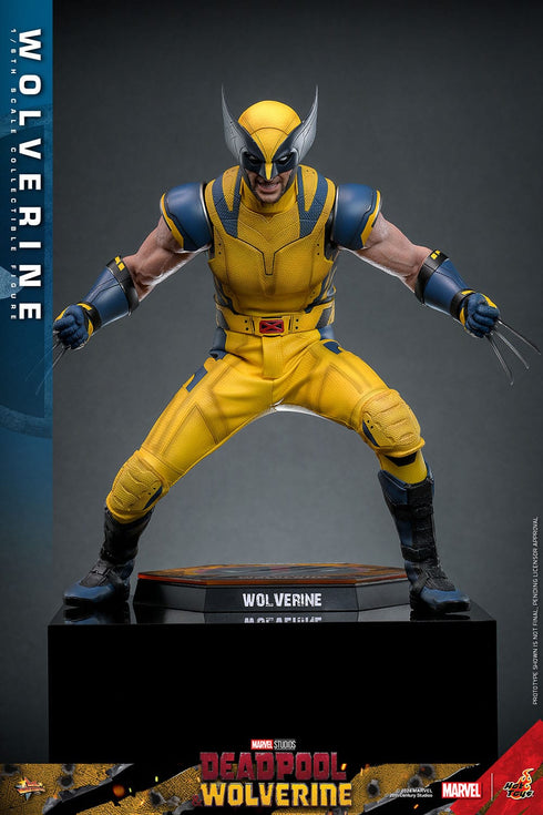 Hot Toys Wolverine - Deadpool & Wolverine - MMS753 - 1/6 Scale Collectible Figure