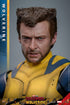 Hot Toys Wolverine (Deluxe Version) - Deadpool & Wolverine - MMS754 - 1/6 Scale Collectible Figure