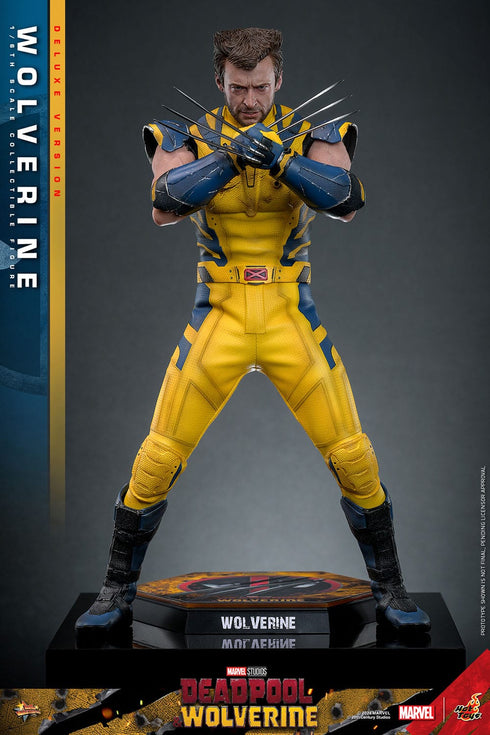 Hot Toys Wolverine (Deluxe Version) - Deadpool & Wolverine - MMS754 - 1/6 Scale Collectible Figure