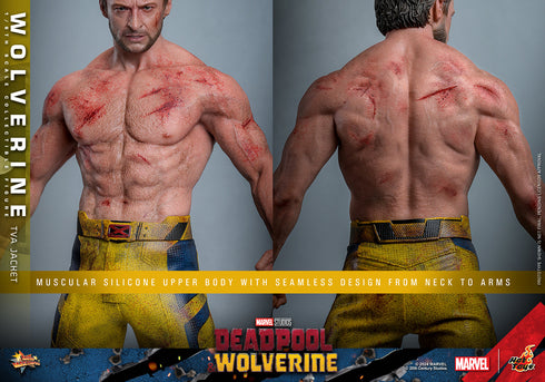 Hot Toys Wolverine (TVA Jacket Version) - Deadpool & Wolverine - MMS756 - 1/6 Scale Collectible Figure