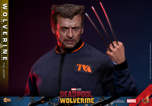 Hot Toys Wolverine (TVA Jacket Version) - Deadpool & Wolverine - MMS756 - 1/6 Scale Collectible Figure