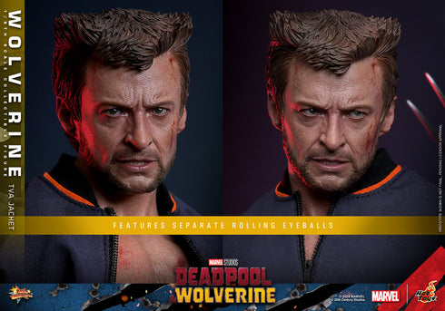 Hot Toys Wolverine (TVA Jacket Version) - Deadpool & Wolverine - MMS756 - 1/6 Scale Collectible Figure
