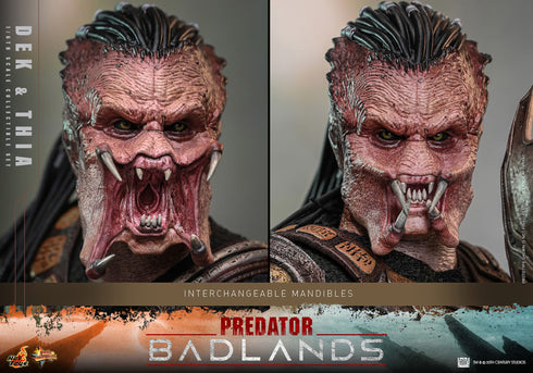 Hot Toys Dek & Thia - Predator: Badlands - MMS850 - 1/6 Scale Collectible Figure Set