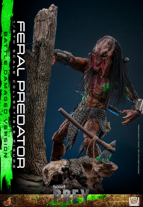 Hot Toys Feral Predator (Battle Damaged Version) - Prey - TMS173 - 1/6 Scale Collectible Figure