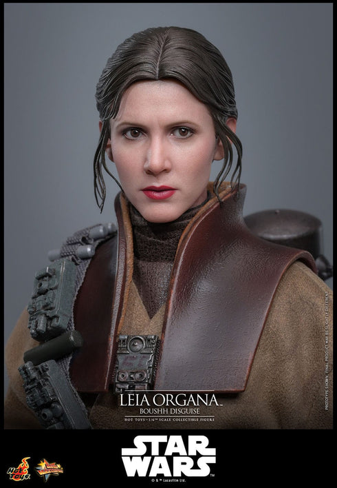 Hot Toys Leia Organa (Boushh Disguise) - Star Wars: Episode VI - MMS854 - 1/6 Scale Collectible Figure