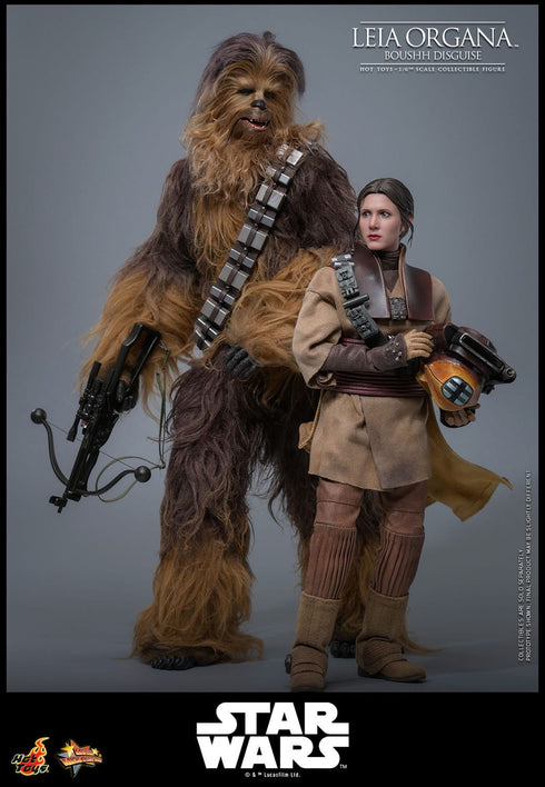 Hot Toys Leia Organa (Boushh Disguise) - Star Wars: Episode VI - MMS854 - 1/6 Scale Collectible Figure