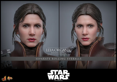 Hot Toys Leia Organa (Boushh Disguise) - Star Wars: Episode VI - MMS854 - 1/6 Scale Collectible Figure