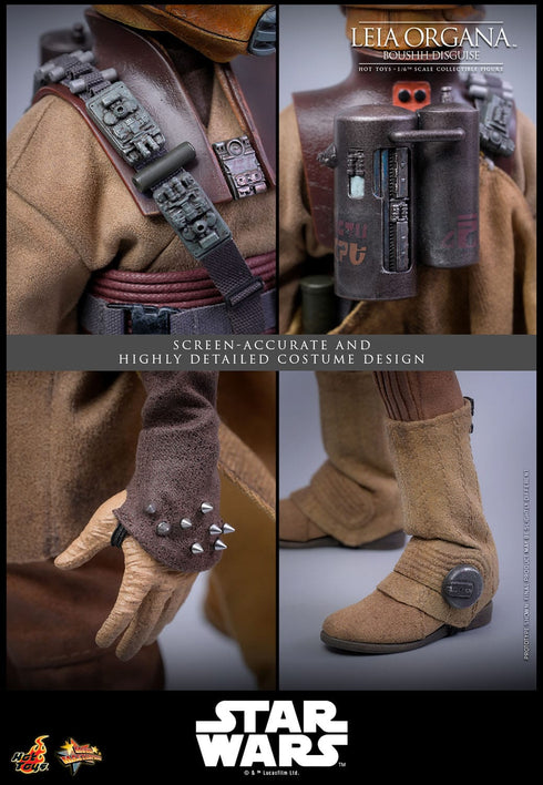 Hot Toys Leia Organa (Boushh Disguise) - Star Wars: Episode VI - MMS854 - 1/6 Scale Collectible Figure