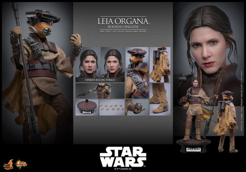 Hot Toys Leia Organa (Boushh Disguise) - Star Wars: Episode VI - MMS854 - 1/6 Scale Collectible Figure
