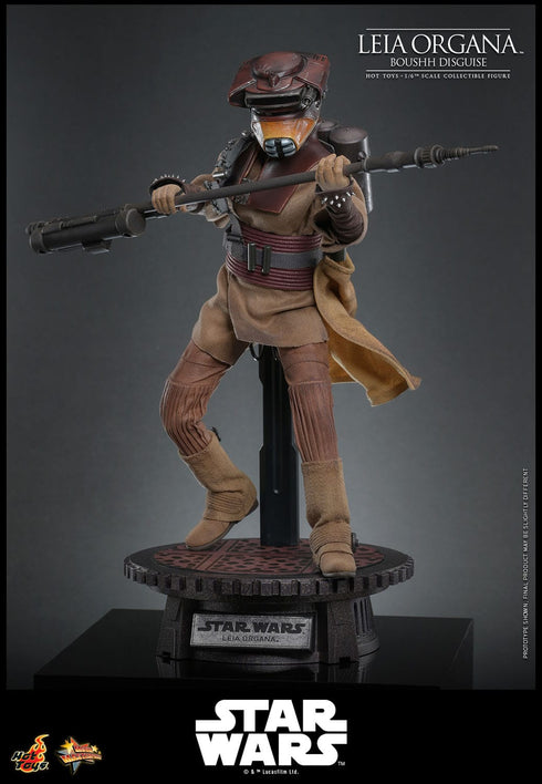 Hot Toys Leia Organa (Boushh Disguise) - Star Wars: Episode VI - MMS854 - 1/6 Scale Collectible Figure