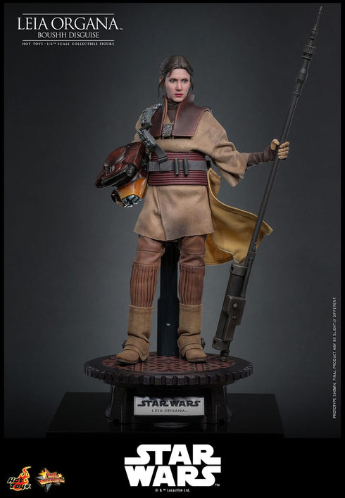 Hot Toys Leia Organa (Boushh Disguise) - Star Wars: Episode VI - MMS854 - 1/6 Scale Collectible Figure