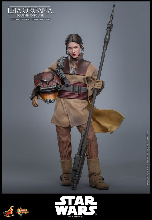 Hot Toys Leia Organa (Boushh Disguise) - Star Wars: Episode VI - MMS854 - 1/6 Scale Collectible Figure