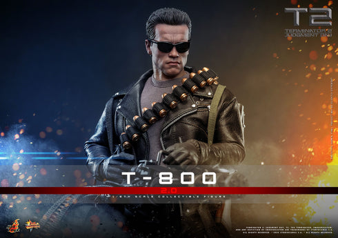 Hot Toys Terminator 2 Movie Masterpiece T-800 2.0 1/6 Action Figure