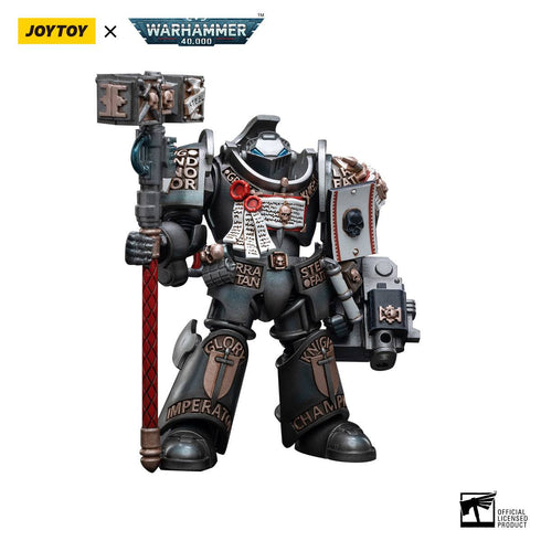 JOYTOY Warhammer 40K Grey Knights Terminator Caddon Vibova 1/18 Action Figure