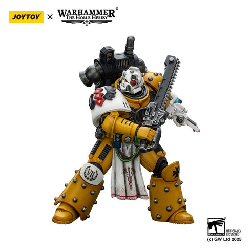 JOYTOY Warhammer The Horus Hersey Imperial Fists Legion Apothecary Action Figure