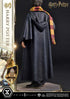 Prime 1 Studio Harry Potter Prime Collectibles Harry Potter 1/6 Statue