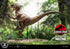 Prime 1 Studio Jurassic Park Velociraptor Jump Prime Collectibles 1/10 Statue