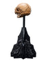 WetaWorkshop Skull of Gollum - The Lord of the Rings - Collectible Mini Statue