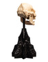 Weta Workshop Skull of Lurtz - The Lord of the Rings - Collectible Mini Statue