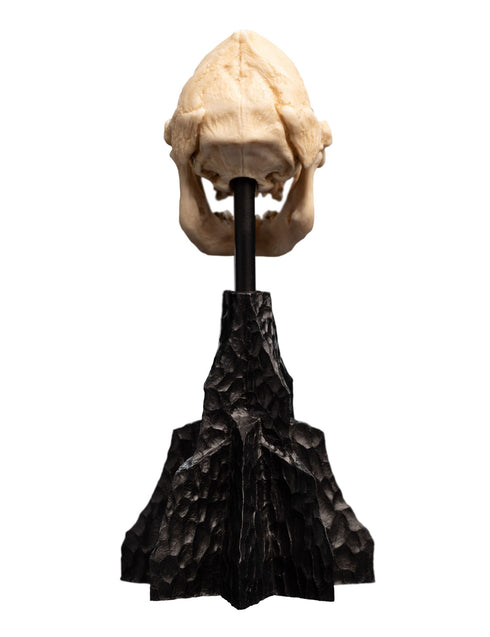 Weta Workshop Skull of Lurtz - The Lord of the Rings - Collectible Mini Statue