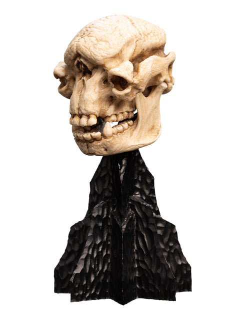 Weta Workshop Skull of a Cave Troll - The Lord of the Rings - Collectible Mini Statue