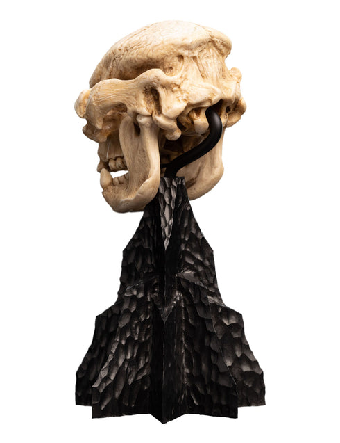 Weta Workshop Skull of a Cave Troll - The Lord of the Rings - Collectible Mini Statue