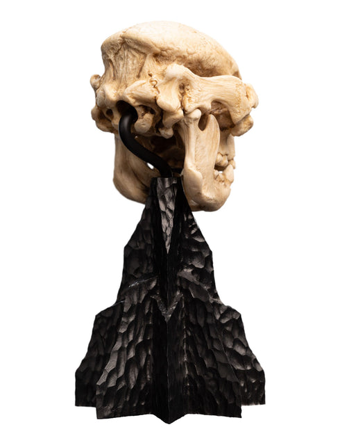 Weta Workshop Skull of a Cave Troll - The Lord of the Rings - Collectible Mini Statue