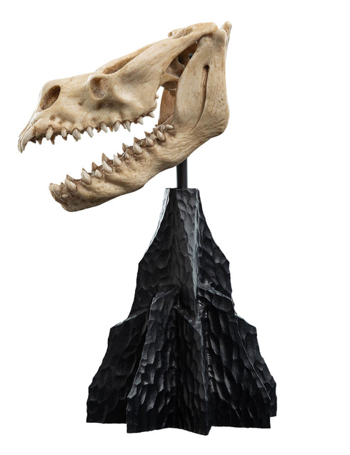Weta Workshop Skull of a Fell Beast - The Lord of the Rings - Collectible Mini Statue