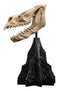 Weta Workshop Skull of a Fell Beast - The Lord of the Rings - Collectible Mini Statue