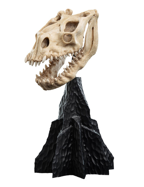 Weta Workshop Skull of a Fell Beast - The Lord of the Rings - Collectible Mini Statue