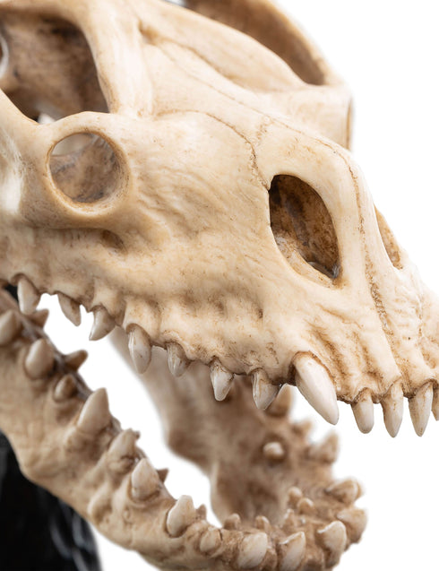 Weta Workshop Skull of a Fell Beast - The Lord of the Rings - Collectible Mini Statue