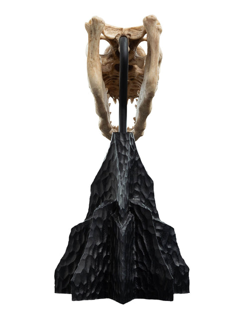 Weta Workshop Skull of a Fell Beast - The Lord of the Rings - Collectible Mini Statue
