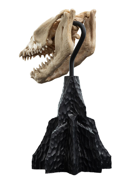 Weta Workshop Skull of a Fell Beast - The Lord of the Rings - Collectible Mini Statue