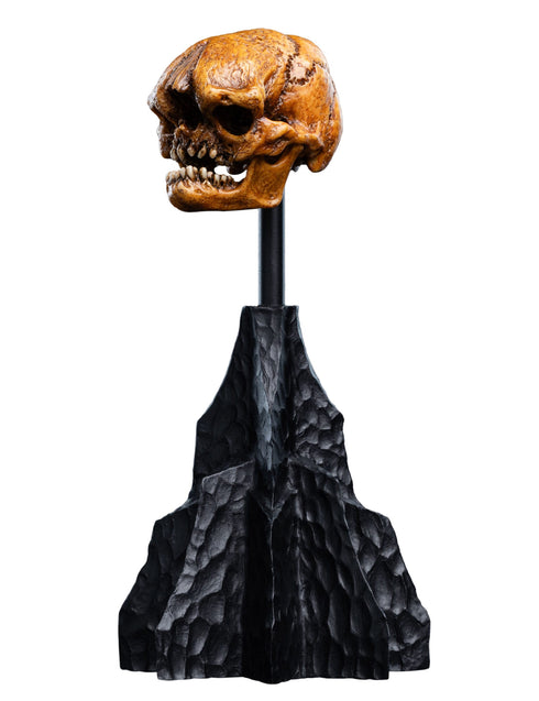 Weta Lord of the Rings Skull of a Misty Mountain Goblin Mini Statue