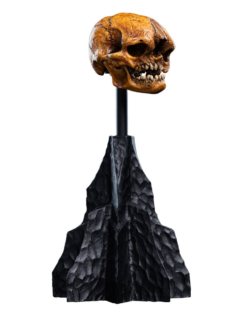 Weta Lord of the Rings Skull of a Misty Mountain Goblin Mini Statue