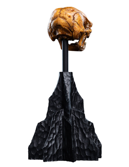 Weta Lord of the Rings Skull of a Misty Mountain Goblin Mini Statue