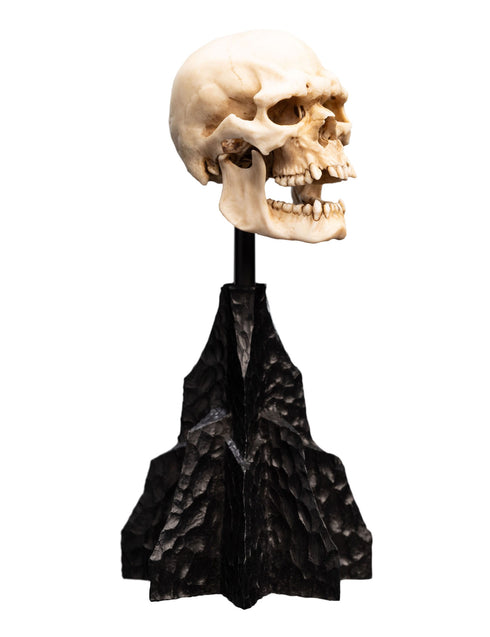 Weta Workshop Skull of a Mordor Orc -The Lord of the Rings - Collectible Mini Statue