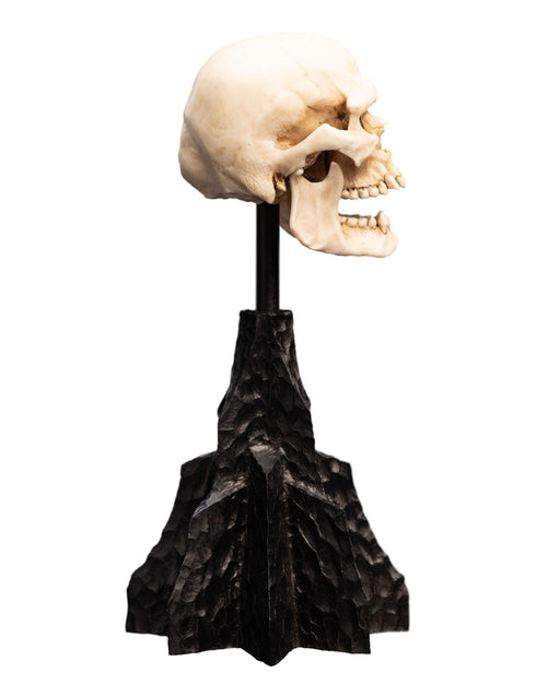 Weta Workshop Skull of a Mordor Orc -The Lord of the Rings - Collectible Mini Statue