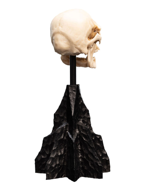 Weta Workshop Skull of a Mordor Orc -The Lord of the Rings - Collectible Mini Statue